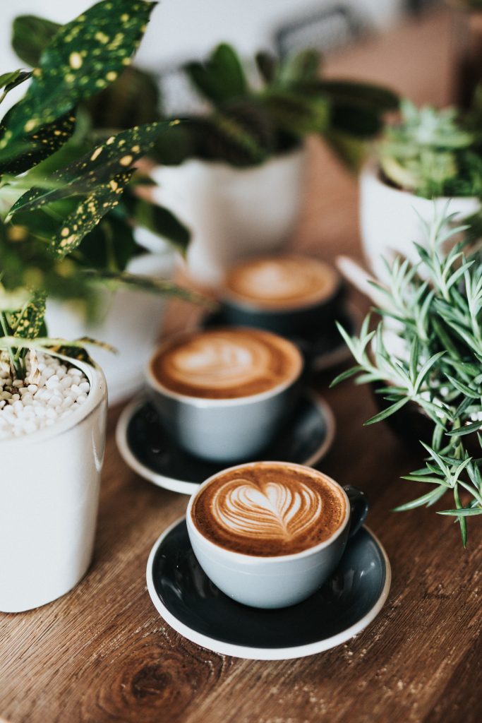 Lattes with latte art on table next to green plants